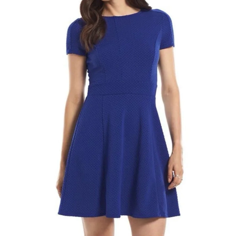 Dress ELLE S Fit & Flare Swing Textured Dots Royal Blue Mini
